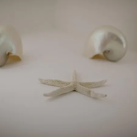 Maison Lalla Hotel Cesenatico