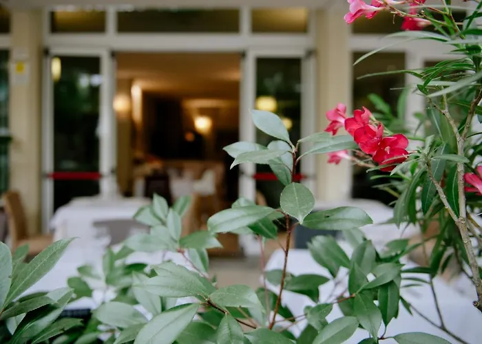 Maison Lalla Otel 4*