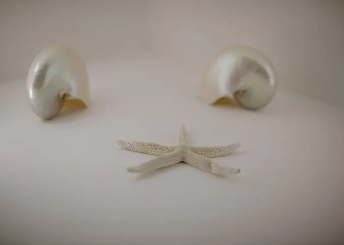 Maison Lalla Ξενοδοχείο Cesenatico